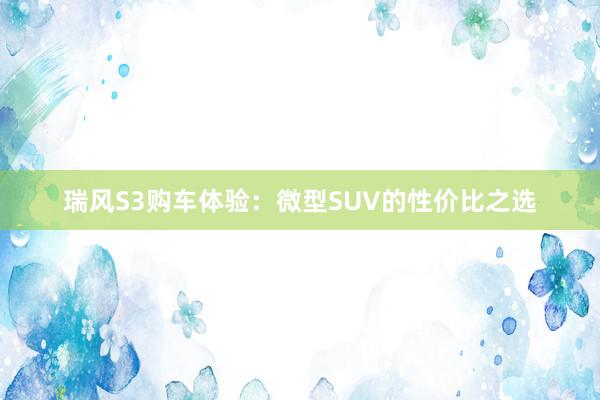 瑞风S3购车体验：微型SUV的性价比之选